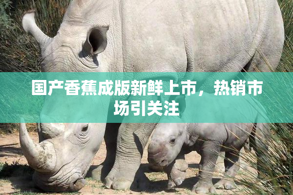 国产香蕉成版新鲜上市，热销市场引关注