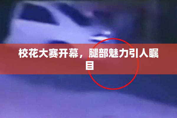 校花大赛开幕，腿部魅力引人瞩目