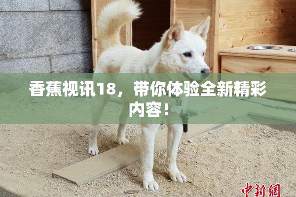 香蕉视讯18，带你体验全新精彩内容！
