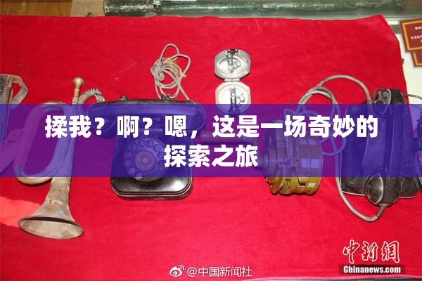 揉我？啊？嗯，这是一场奇妙的探索之旅