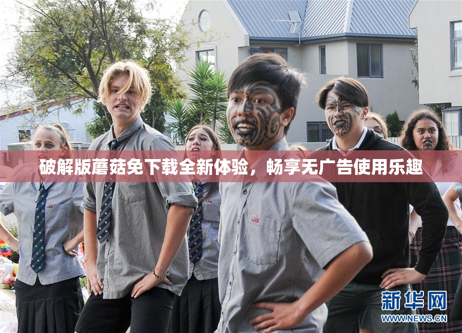 破解版蘑菇免下载全新体验，畅享无广告使用乐趣