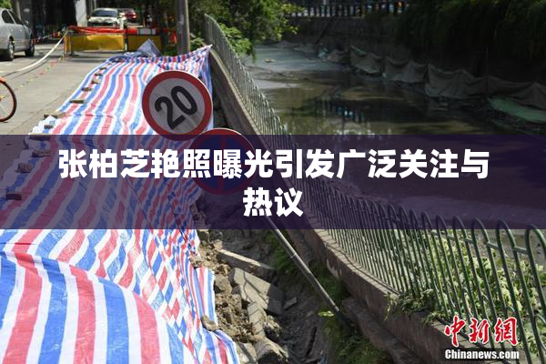 张柏芝艳照曝光引发广泛关注与热议