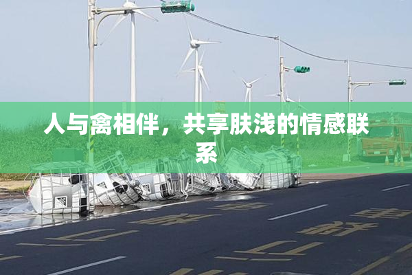 人与禽相伴，共享肤浅的情感联系