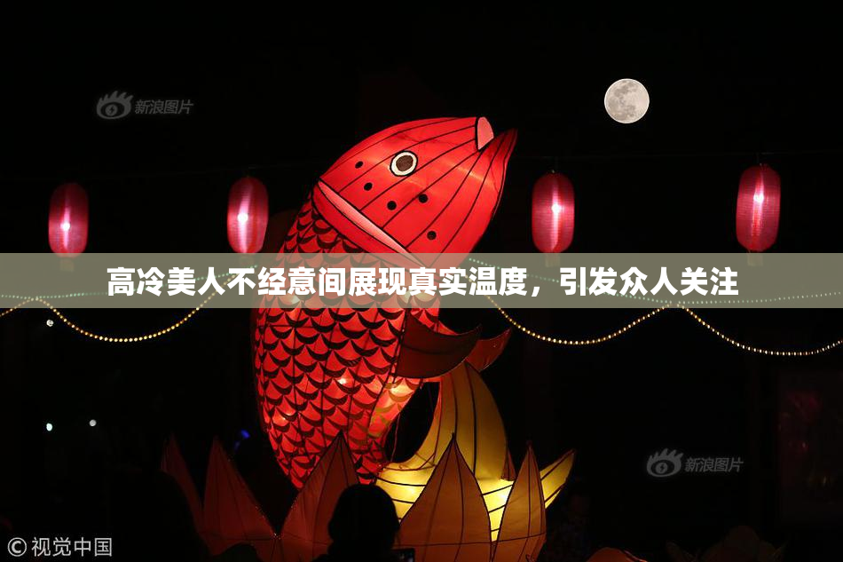 高冷美人不经意间展现真实温度，引发众人关注