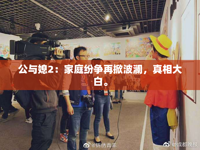公与媳2：家庭纷争再掀波澜，真相大白。