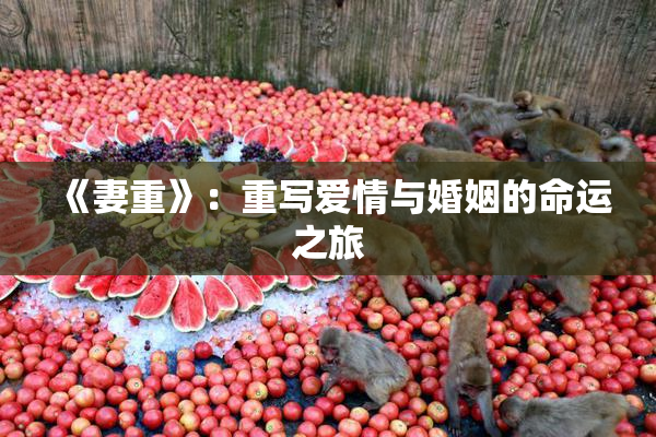 《妻重》：重写爱情与婚姻的命运之旅