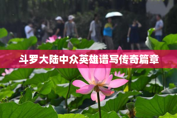 斗罗大陆中众英雄谱写传奇篇章