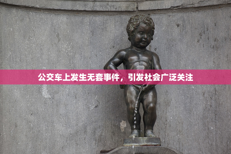 公交车上发生无套事件，引发社会广泛关注