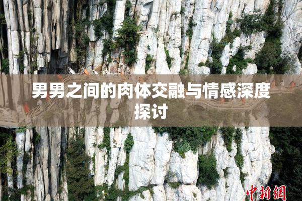 男男之间的肉体交融与情感深度探讨