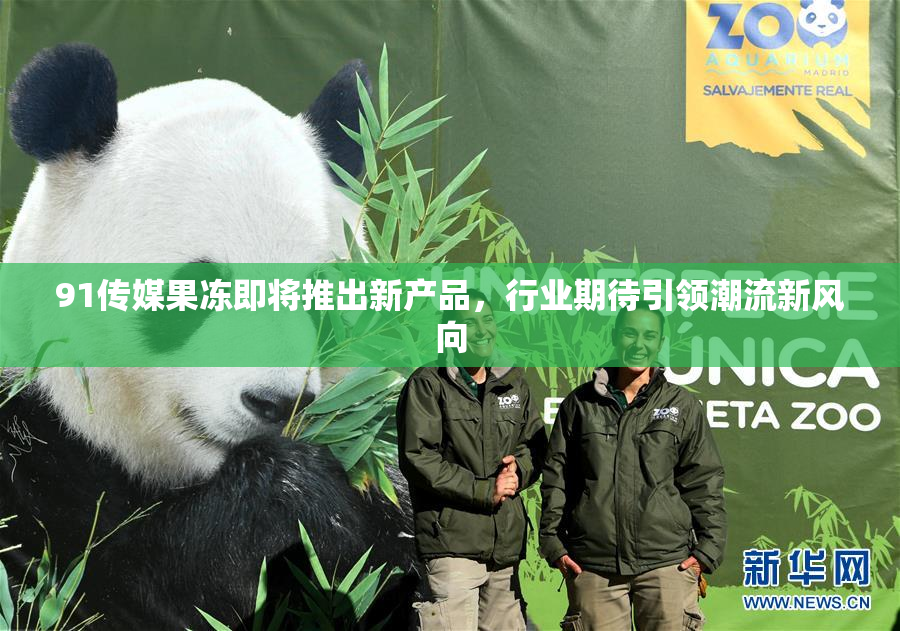 91传媒果冻即将推出新产品，行业期待引领潮流新风向