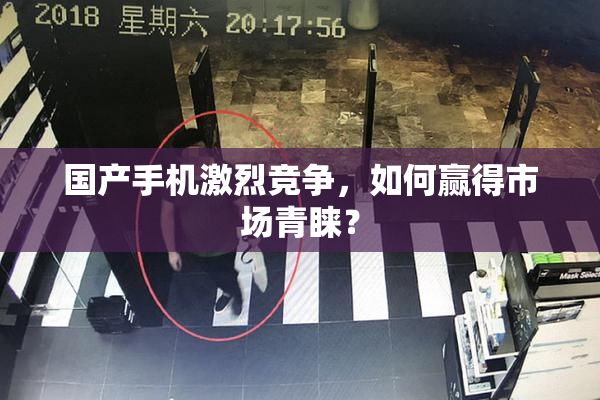 国产手机激烈竞争，如何赢得市场青睐？