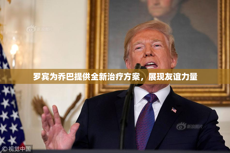罗宾为乔巴提供全新治疗方案，展现友谊力量