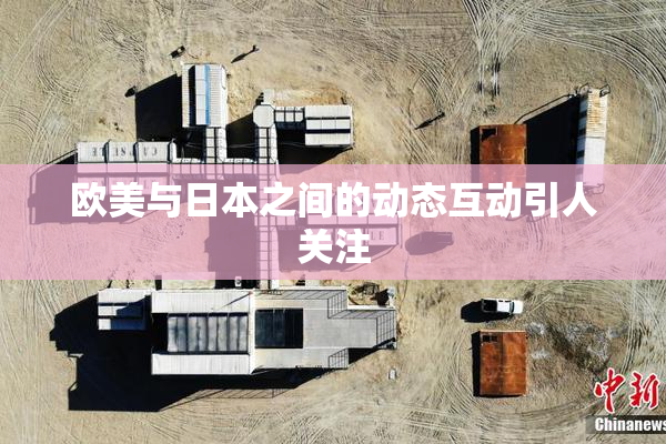 欧美与日本之间的动态互动引人关注