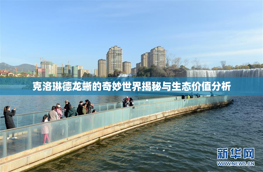 克洛琳德龙蜥的奇妙世界揭秘与生态价值分析