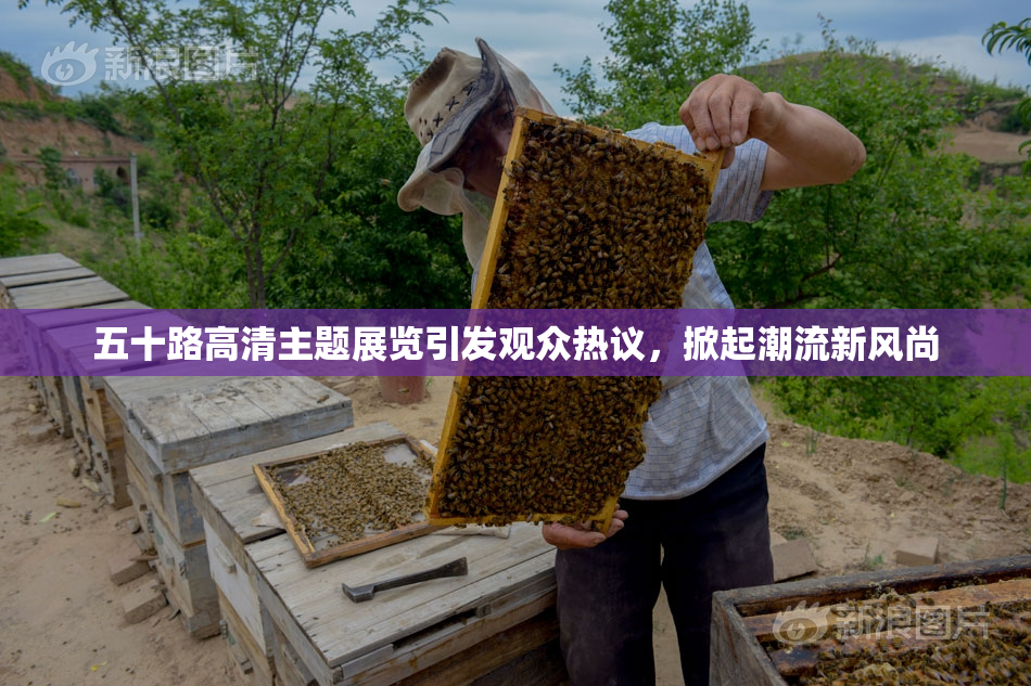 五十路高清主题展览引发观众热议，掀起潮流新风尚