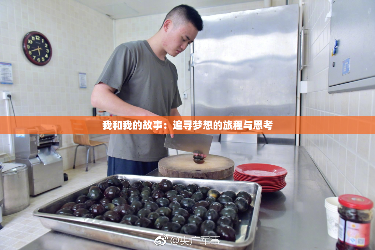 我和我的故事：追寻梦想的旅程与思考
