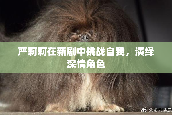 严莉莉在新剧中挑战自我，演绎深情角色