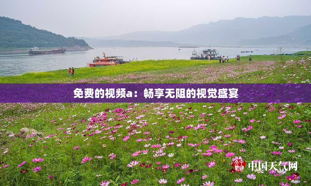 免费的视频a：畅享无阻的视觉盛宴