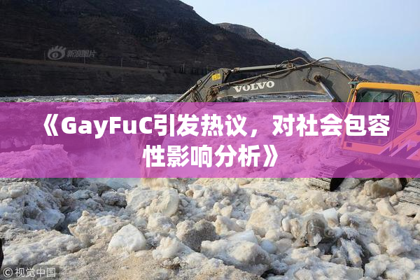 《GayFuC引发热议，对社会包容性影响分析》