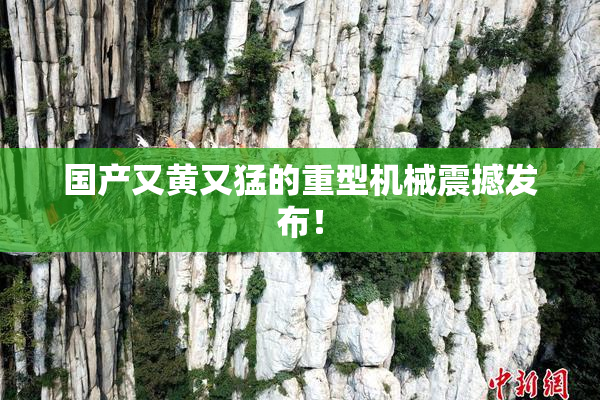 国产又黄又猛的重型机械震撼发布！