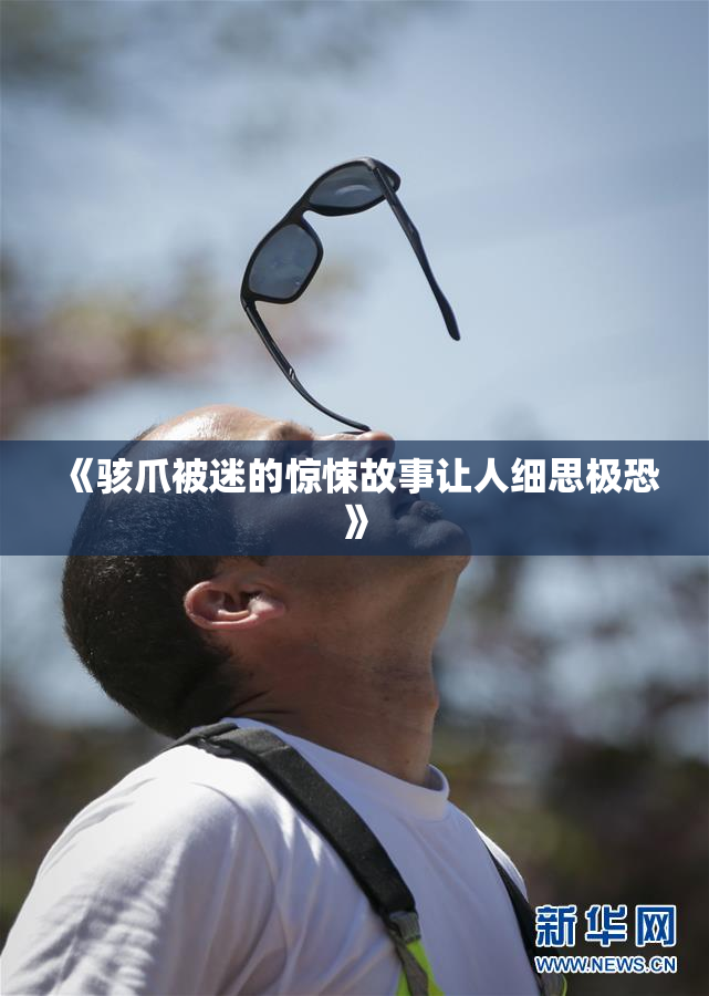 《骇爪被迷的惊悚故事让人细思极恐》