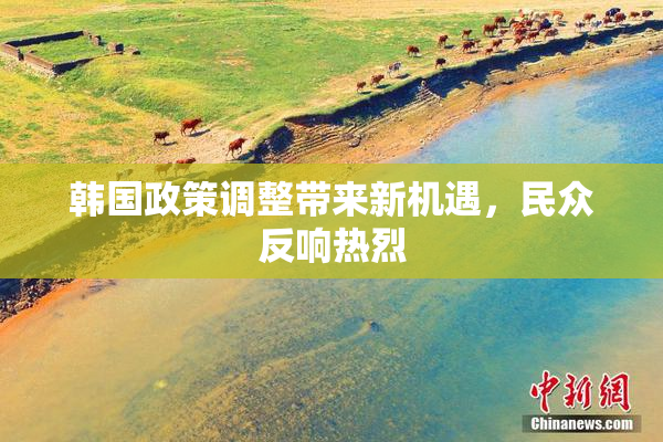 韩国政策调整带来新机遇，民众反响热烈