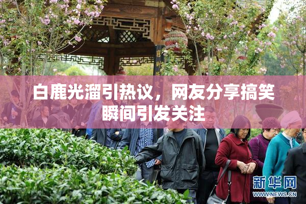 白鹿光溜引热议，网友分享搞笑瞬间引发关注