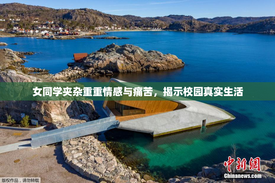 女同学夹杂重重情感与痛苦，揭示校园真实生活