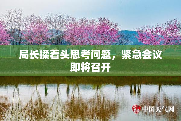 局长揉着头思考问题，紧急会议即将召开