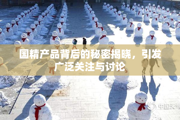 国精产品背后的秘密揭晓，引发广泛关注与讨论