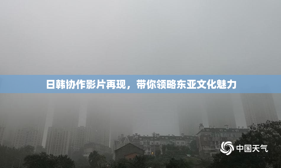日韩协作影片再现，带你领略东亚文化魅力