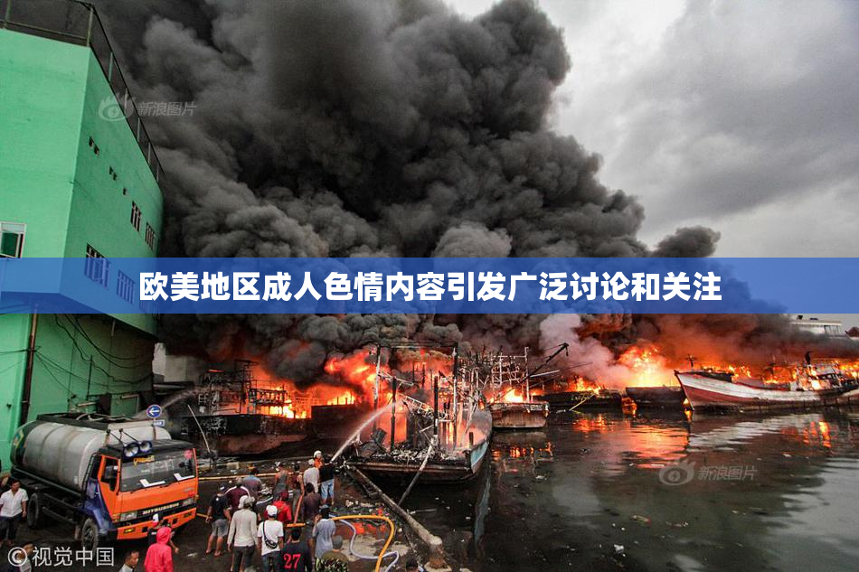 欧美地区成人色情内容引发广泛讨论和关注