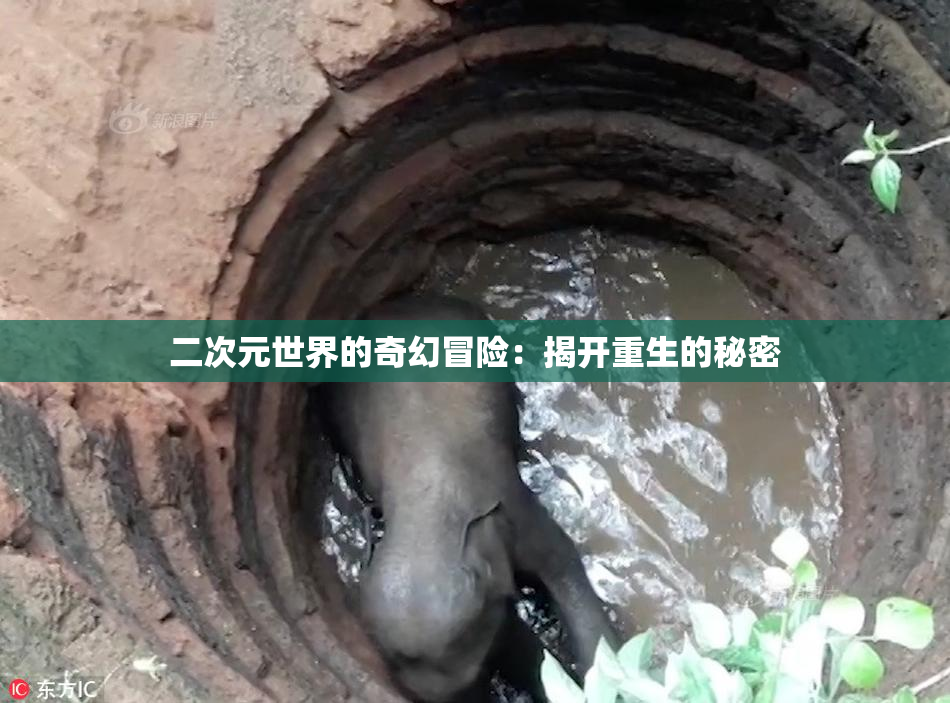 二次元世界的奇幻冒险：揭开重生的秘密