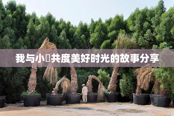 我与小娻共度美好时光的故事分享