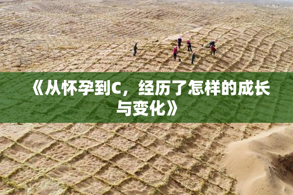 《从怀孕到C，经历了怎样的成长与变化》