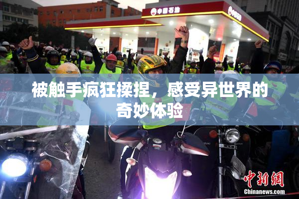 被触手疯狂揉捏，感受异世界的奇妙体验