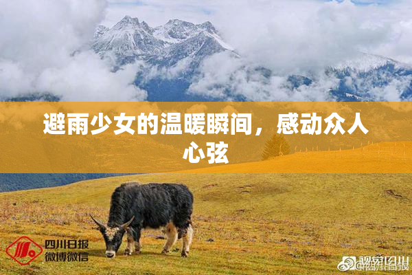 避雨少女的温暖瞬间，感动众人心弦