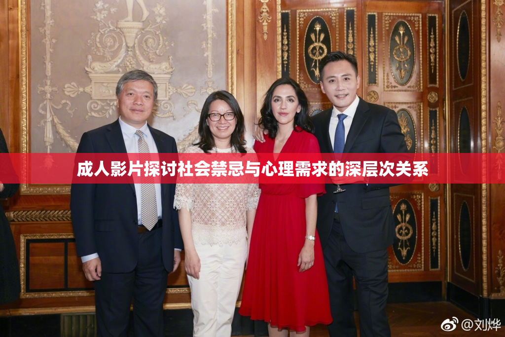 成人影片探讨社会禁忌与心理需求的深层次关系