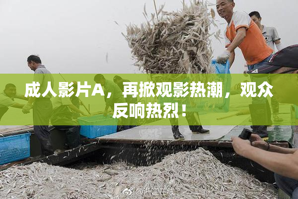 成人影片A，再掀观影热潮，观众反响热烈！