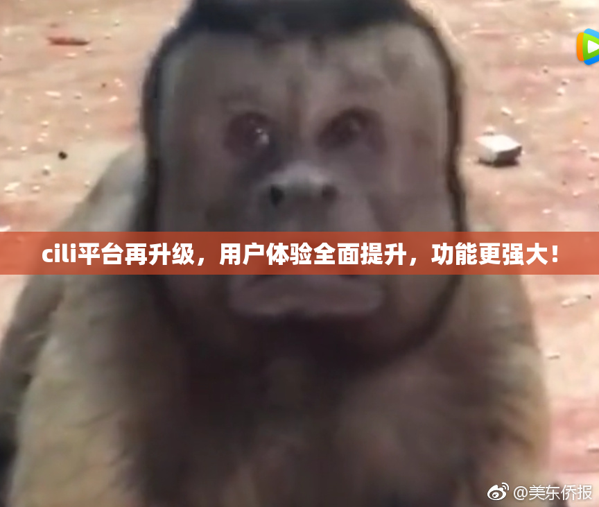 cili平台再升级，用户体验全面提升，功能更强大！