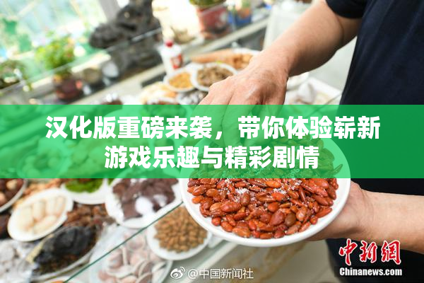 汉化版重磅来袭，带你体验崭新游戏乐趣与精彩剧情