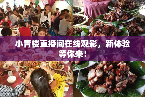 小青楼直播间在线观影，新体验等你来！