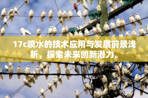 17c喷水的技术应用与发展前景浅析，探索未来创新潜力。