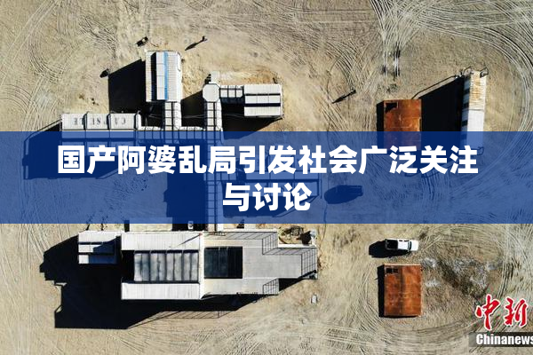 国产阿婆乱局引发社会广泛关注与讨论
