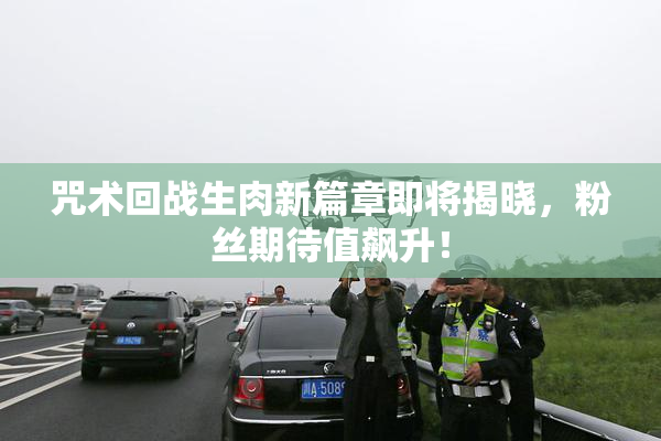 咒术回战生肉新篇章即将揭晓，粉丝期待值飙升！