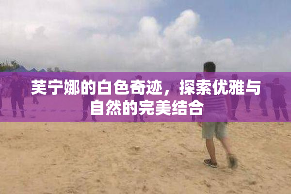芙宁娜的白色奇迹，探索优雅与自然的完美结合