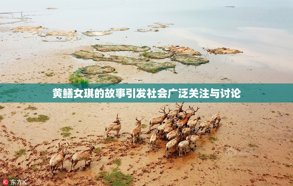 黄鳝女琪的故事引发社会广泛关注与讨论