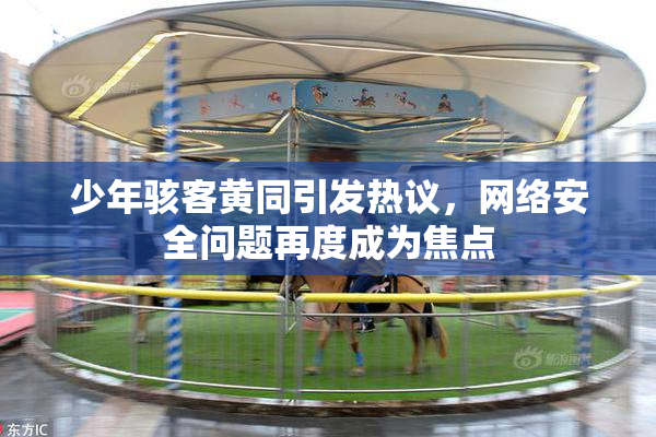 少年骇客黄同引发热议，网络安全问题再度成为焦点