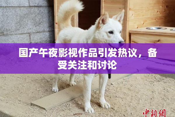 国产午夜影视作品引发热议，备受关注和讨论