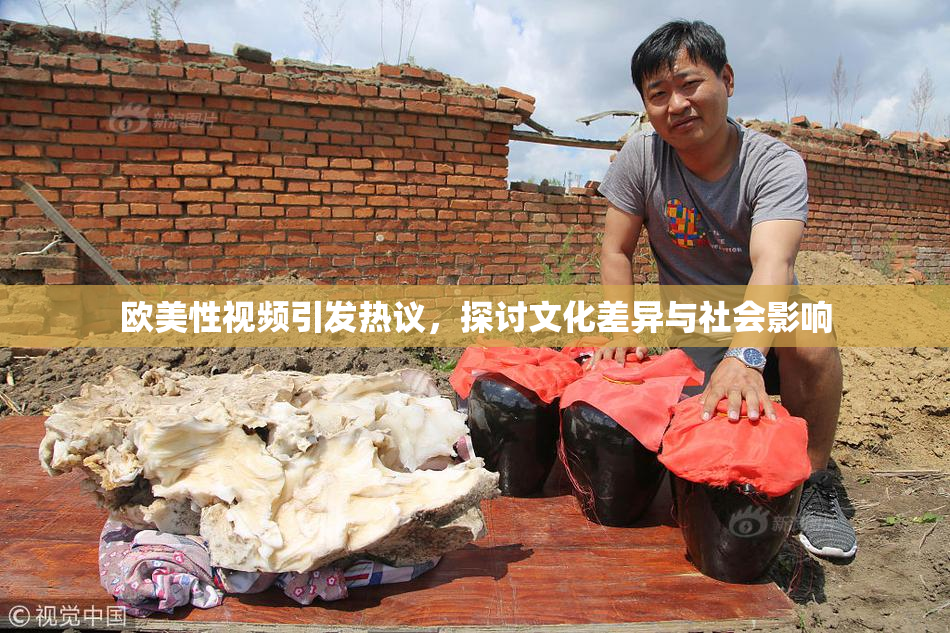 欧美性视频引发热议，探讨文化差异与社会影响